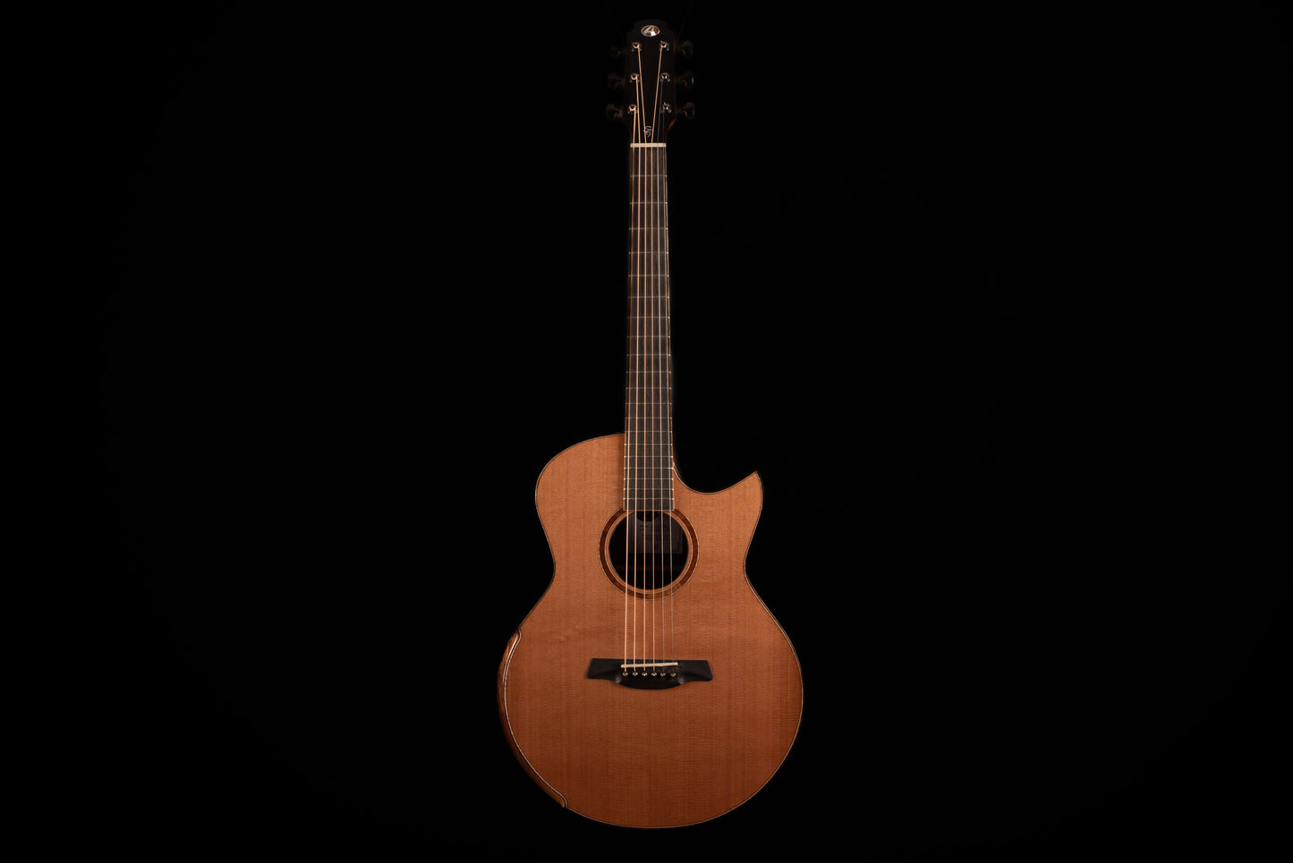 AVENIR 25 SERIES AUDITORIUM CEDAR WENGE