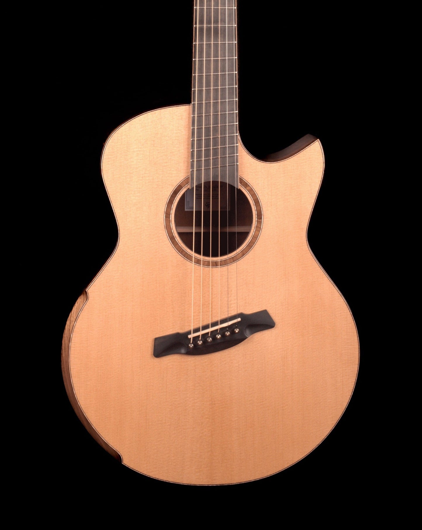AVENIR 25 SERIES AUDITORIUM SITKA SPRUCE FLAMED WALNUT FAN FRET