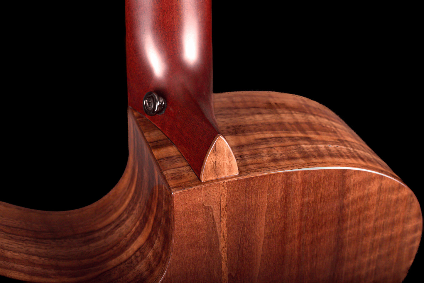 AVENIR 25 SERIES AUDITORIUM SITKA SPRUCE FLAMED WALNUT FAN FRET