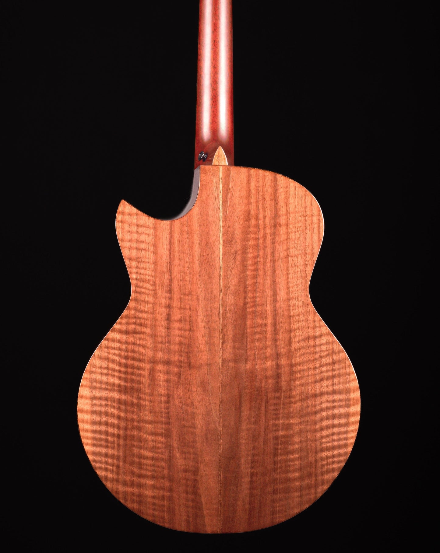 AVENIR 25 SERIES AUDITORIUM SITKA SPRUCE FLAMED WALNUT FAN FRET