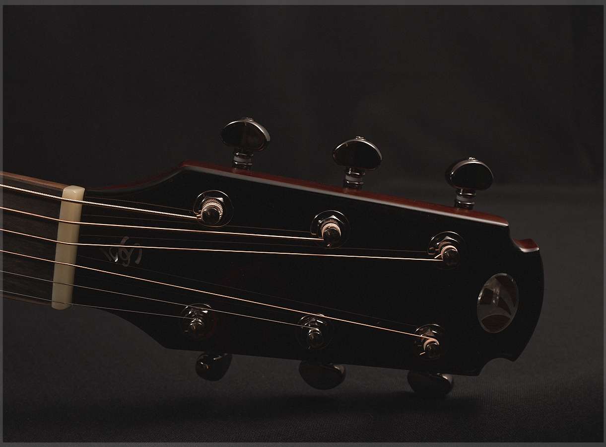 AVENIR 20 SERIES AUDITORIUM ENGELMANN SPRUCE WENGE